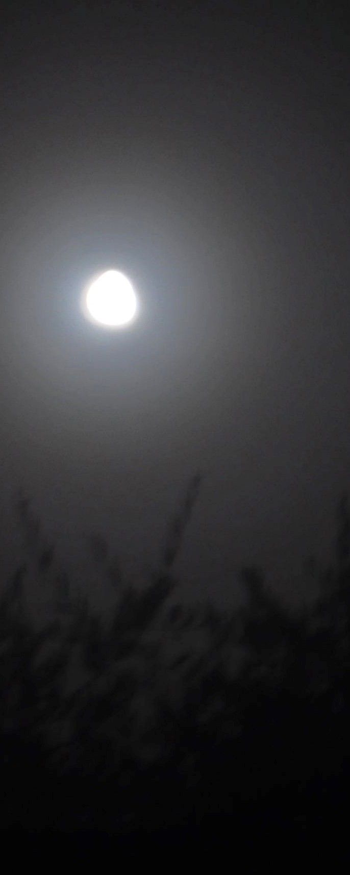 luna sul lago di Bolsena