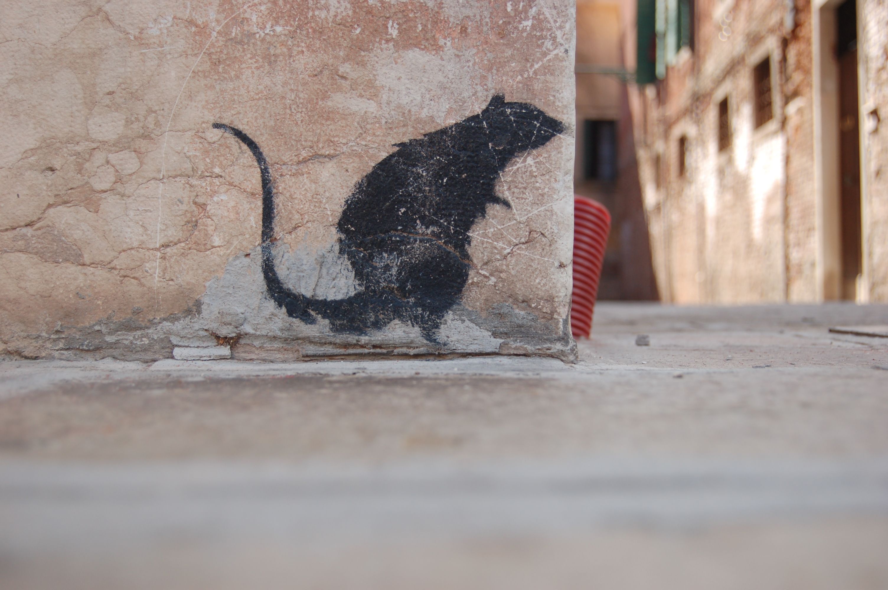 Venezia (Italia): graffito (pantegana) sull'angolo di  un muro